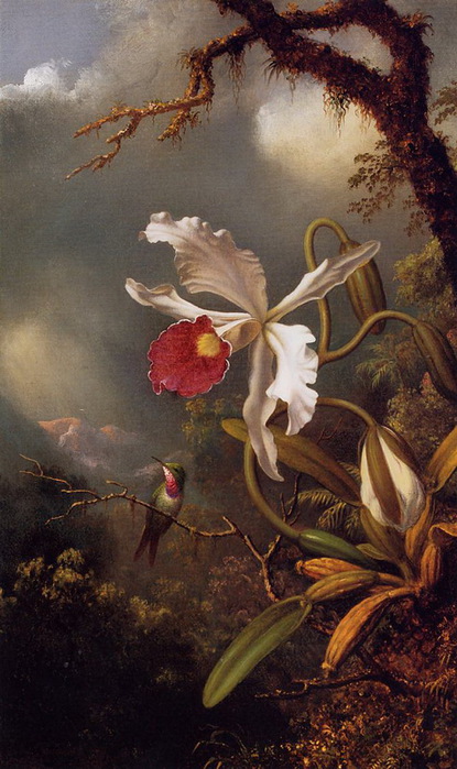 Martin Johnson Heade1 (415x700, 119Kb)