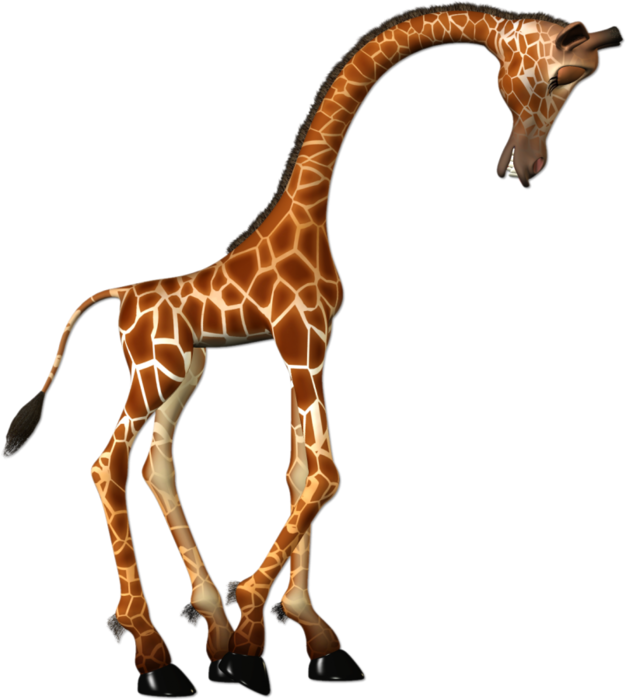 76366328_4491121_giraffe1