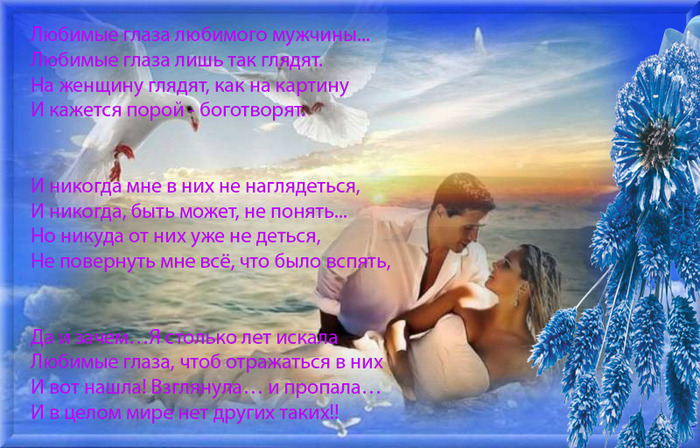 http://img0.liveinternet.ru/images/attach/c/3/76/38/76038706_large_3779070_holoubci_MNB765_copy.jpg