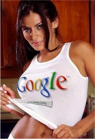 google (317x465, 48Kb)