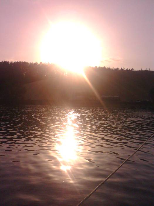 PIC-337 (525x700, 31Kb)