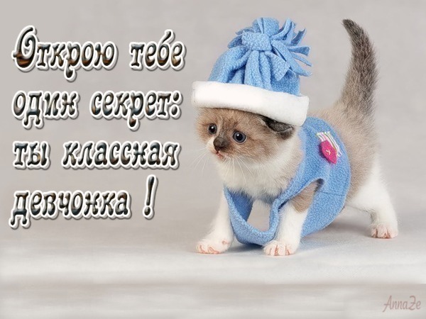 Открытки ты классная подруга 244