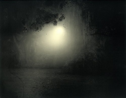 sally-mann-deep-south-8 (500x390, 19Kb)