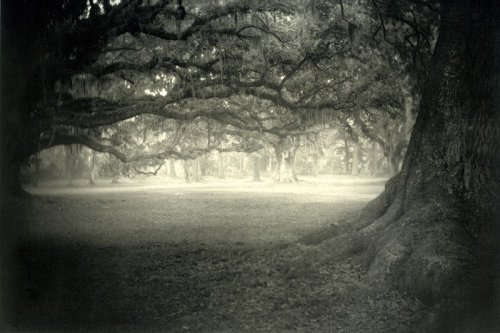 sally-mann-deep-south-15 (500x333, 36Kb)