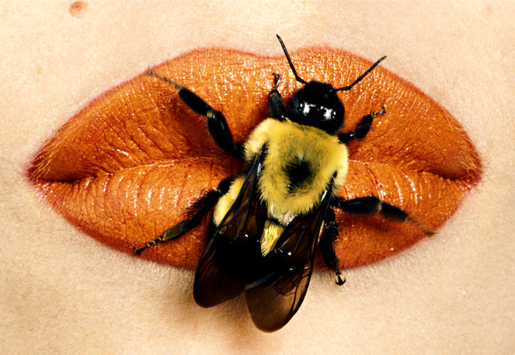 irving-penn-bee-on-lips-december-1995 (580x400, 81Kb)