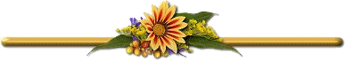 q3pkxzj6 (388x69, 7Kb)