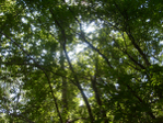  S6305105 (700x525, 653Kb)