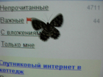  SDC15052 (700x525, 476Kb)