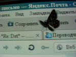  SDC15055 (700x525, 620Kb)