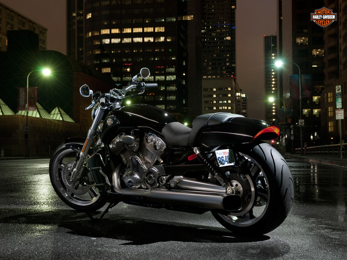 Harley Davidson V-Rod 10th Anniversary Edition/2822077_12vrodmusclebs1 (700x525, 137Kb)