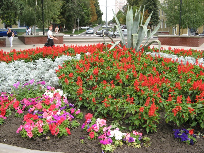 Погода в ленске саха якутия на 3 дня