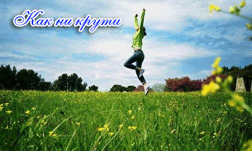 3488263_ada7e51dac5c (502x301, 91Kb)
