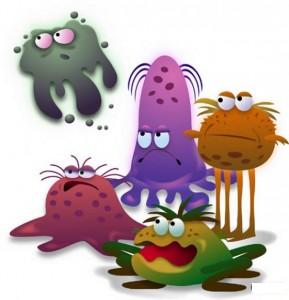 Germs-289x300 (289x300, 13Kb)