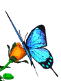 dc04d9aef3d0 (89x117, 15Kb)