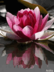 Превью 48с (240x320, 214Kb)