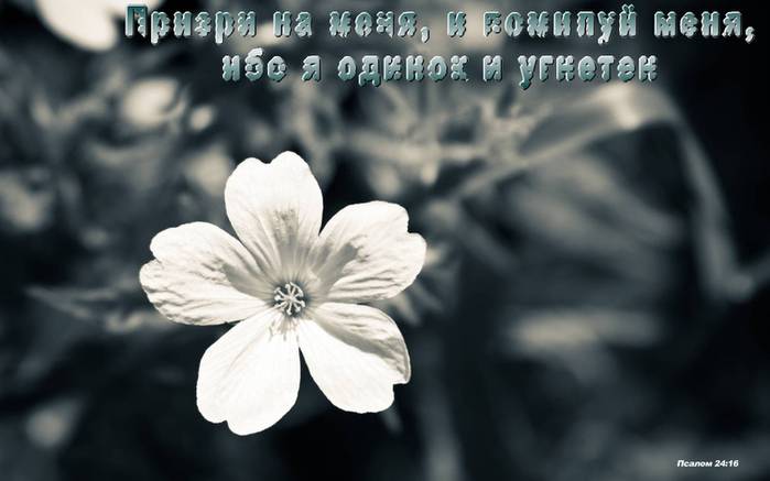 987909282 (700x437, 30Kb)
