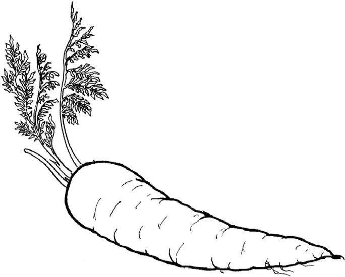 Vegetables Print Coloring Pages.