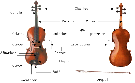 viola_g (549x338, 25Kb)