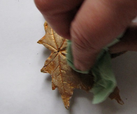 Мастер-класс День учителя Моделирование конструирование Розы из кленовых листьев Листья