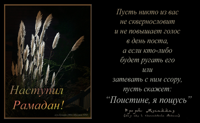 Пост состоит не только в том, что вы воздерживаетесь от еды и питья Пост состоит не только в том, что вы воздерживаетесь от еды и питья