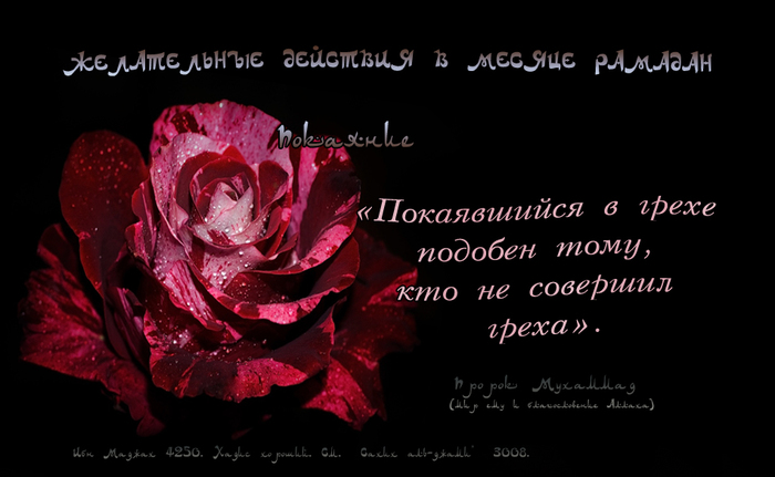 Пост состоит не только в том, что вы воздерживаетесь от еды и питья Пост состоит не только в том, что вы воздерживаетесь от еды и питья