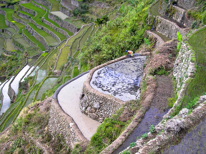 Banaue-rice-terraces (700x525, 266Kb)