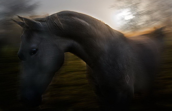 3475ba17cfc2 (700x449, 58Kb)