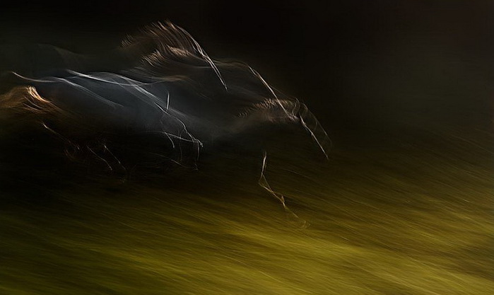 b82accee0421 (700x417, 55Kb)
