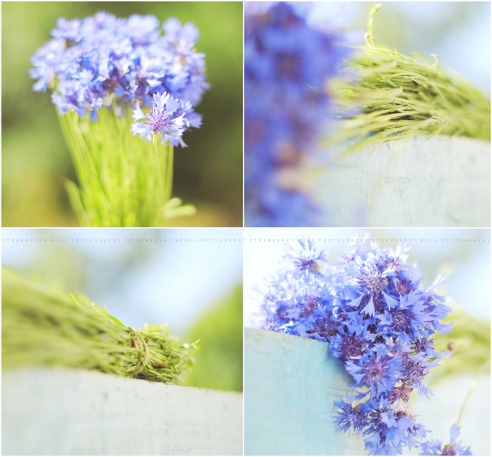 3749748_5780643392_15f0cbde68_b (700x649, 285Kb)