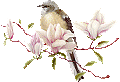 3831326_422956971 (120x82, 4Kb)