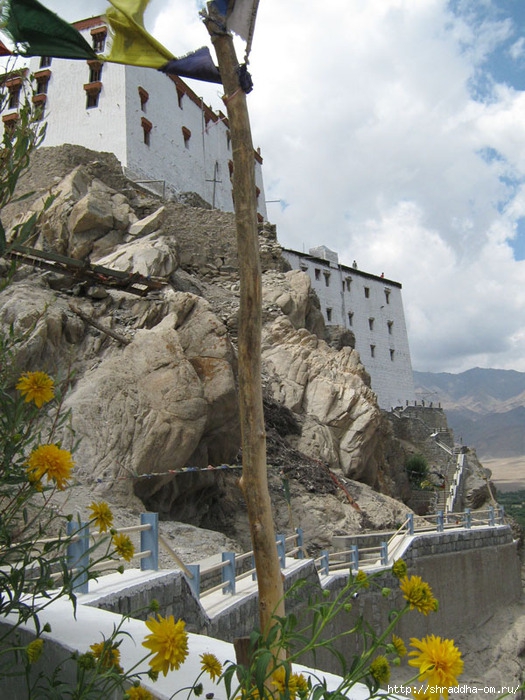 Индия, Ладакх, Лех, монастырь Thiksay, 29 (525x700, 291Kb)