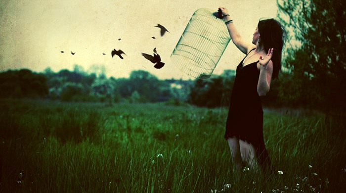 2757491_smisl (700x390, 79Kb)