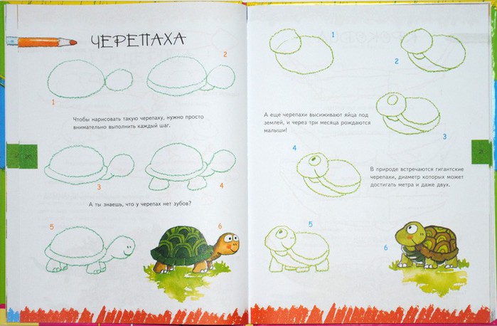 Иллюстрация 5 к книге Учимся рисовать (животные, растения, люди