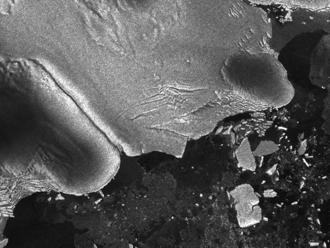 Tohoku-Tsunami-Created-Icebergs-In-Antarctica-2-small (650x488, 82Kb)