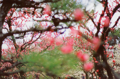 3749748_tumblr_lhpx1oVHNF1qa0kcvo1_500 (500x328, 102Kb)