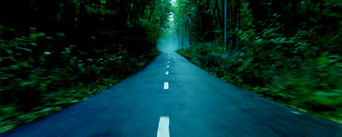 3749748_tumblr_lg8xleOeY21qbet79o1_500 (500x200, 464Kb)