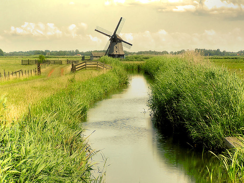 3749748_tumblr_lnmmekuyDE1qa2txho1_500 (500x375, 176Kb)