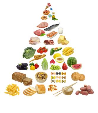 сборник рецептур блюд диетического питания для предприятий общественного питания
