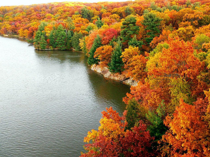 forest-autumn-colors-1152 (700x525, 174Kb)