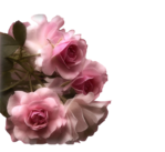  mtfp_beautiful_roses (700x643, 369Kb)