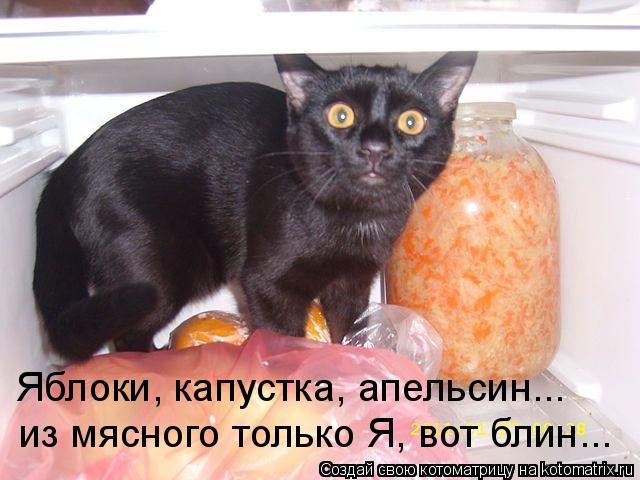 1868538_852919 (640x480, 51Kb)