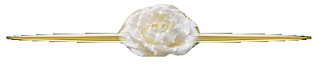 разделитель белая роза (450x100, 45Kb)