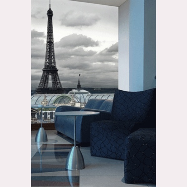 view-on-the-eiffel-tower-ecological-wall-murals (600x600, 78Kb)