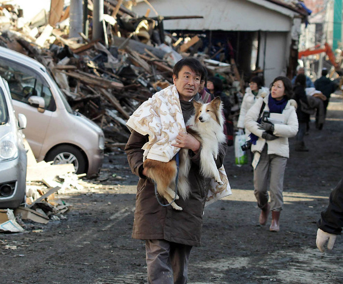 На что похож Апокалипсис - землетрясение и цунами в японии 66140