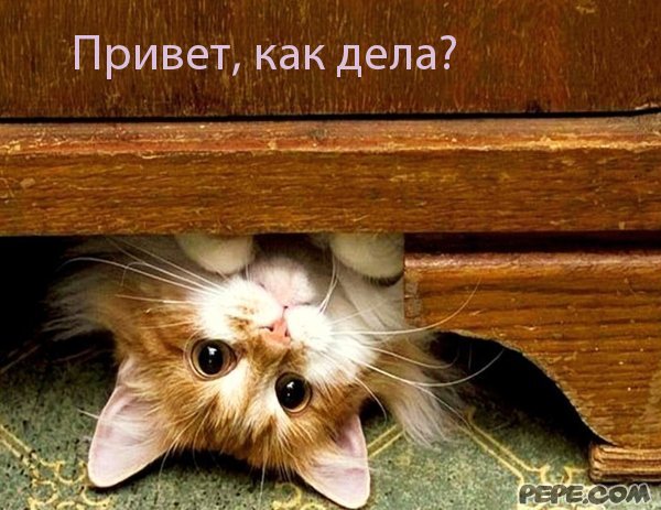 http://img0.liveinternet.ru/images/attach/c/3/77/979/77979982_large__2560160090953.jpg