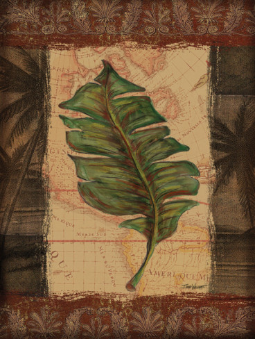 todd-williams-tropical-leaf-i (368x488, 82Kb)