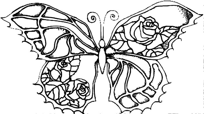 Rose Butterfly ONLINE (700x392, 84Kb)
