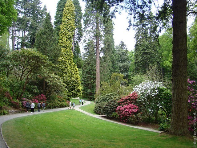 4059800_BodnantGarden9 (640x480, 142Kb)