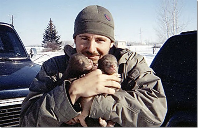 babybears_3 (644x417, 86Kb)