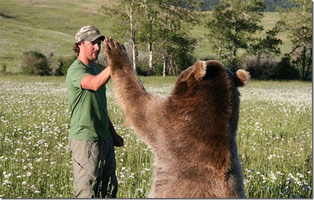 givemefivemanandbear_3 (644x410, 116Kb)